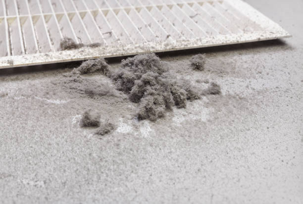 Best Affordable Air Duct Cleaning  in Clarksville, IA